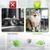 ZooVenture Jouets balles d'herbe à chat pour chat