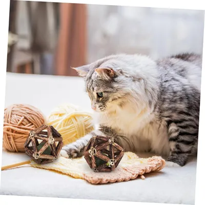 Pawzy Kit jeu intérieur - Stimulation naturelle chat(4pcs)