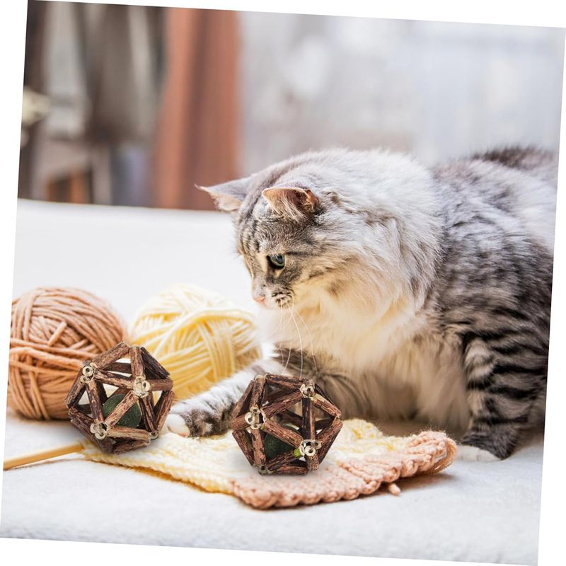 Pawzy Kit jeu intérieur - Stimulation naturelle chat(4pcs)