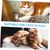 Pawzy Kit jeu intérieur - Stimulation naturelle chat(4pcs)