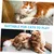 Pawzy Kit jeu intérieur - Stimulation naturelle chat(4pcs)