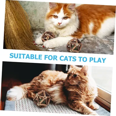 Pawzy Kit jeu intérieur - Stimulation naturelle chat(4pcs)