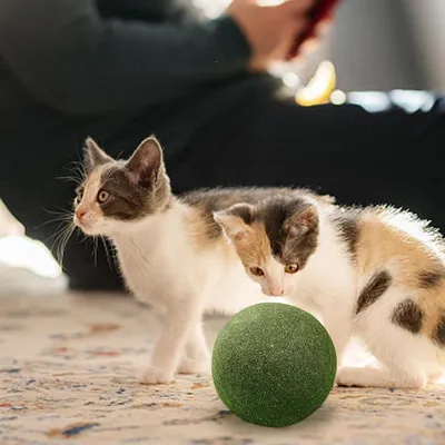 Pawzy Boule à lécher pour chat - Herbe et menthe naturelles