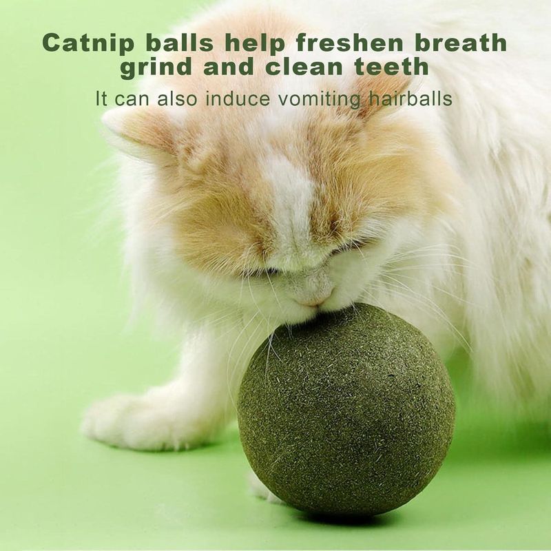 Pawzy Boule à lécher pour chat - Herbe et menthe naturelles