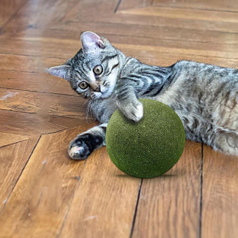 Pawzy Boule à lécher pour chat - Herbe et menthe naturelles
