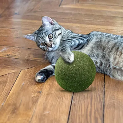 Pawzy Boule à lécher pour chat - Herbe et menthe naturelles