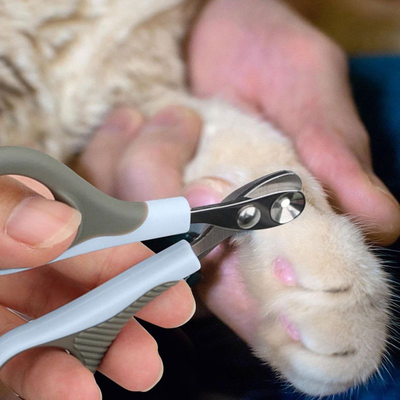 Pawzy Coupe-ongles pour chat - Sécurité précise