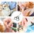 Pawzy Coupe-ongles pour chat - Sécurité précise