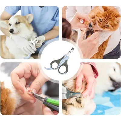 Pawzy Coupe-ongles pour chat - Sécurité précise