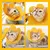 Pawzy Collier élisabéthain pour animaux de compagnie Pawzy Collier élisabéthain pour animaux de compagnie