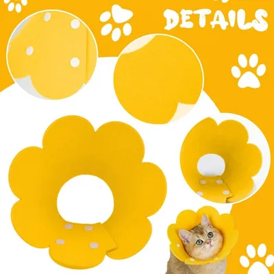 Pawzy Collier élisabéthain pour animaux de compagnie Pawzy Collier élisabéthain pour animaux de compagnie