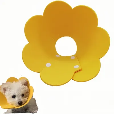 Pawzy Collier élisabéthain pour animaux de compagnie