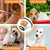 Pawzy Collier de récupération en plastique pour chien et chat Pawzy Collier de récupération en plastique pour chien et chat