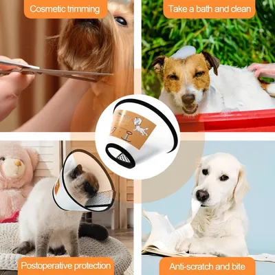 Pawzy Collier de récupération en plastique pour chien et chat Pawzy Collier de récupération en plastique pour chien et chat