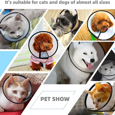 Pawzy Collier de récupération en plastique pour chien et chat Pawzy Collier de récupération en plastique pour chien et chat
