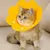Pawzy Collier élisabéthain pour animaux de compagnie