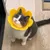 Pawzy Collier élisabéthain pour animaux de compagnie