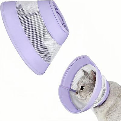ZooVenture Collier conique pour chats