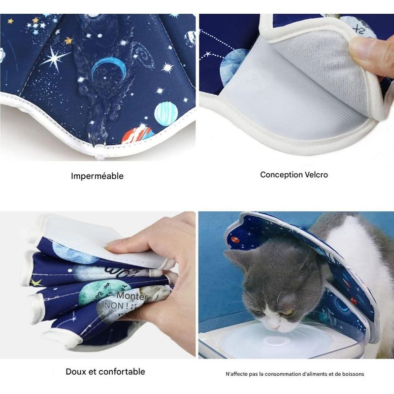 ZooVenture Collier conique pour chats