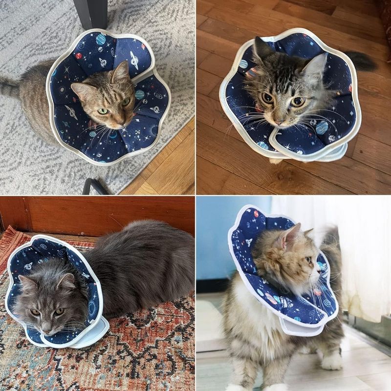 ZooVenture Collier conique pour chats