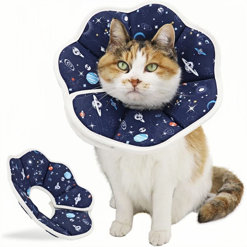 ZooVenture Konisches Katzenhalsband