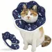 ZooVenture Konisches Katzenhalsband