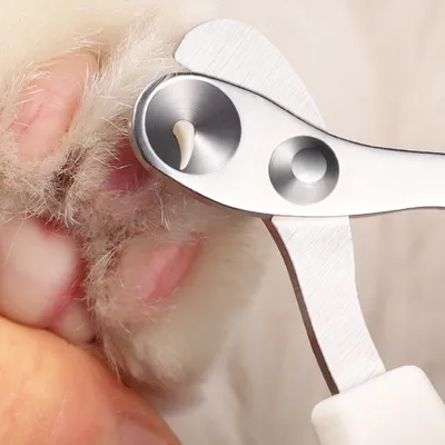 Zoomtopia Coupe griffes pour chat et autres petits animaux