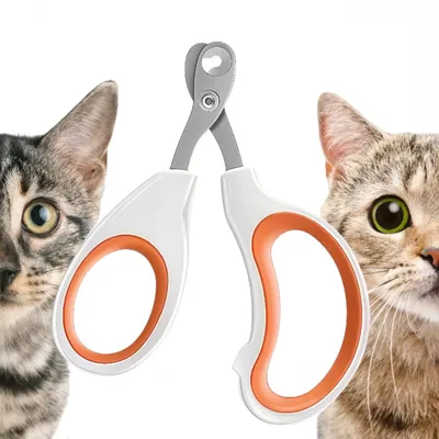 Zoomtopia Coupe griffes pour chat et autres petits animaux