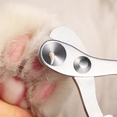 Zoomtopia Coupe-griffes pour chat et autres petits animaux Zoomtopia Coupe-griffes pour chat et autres petits animaux