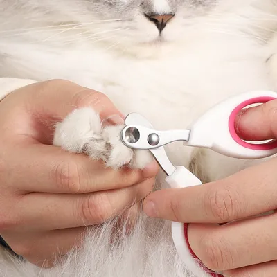 Zoomtopia Coupe-griffes pour chat et autres petits animaux Zoomtopia Coupe-griffes pour chat et autres petits animaux