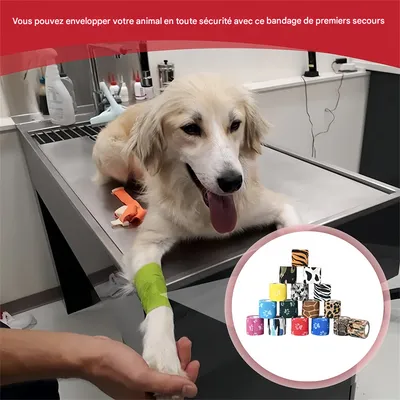 Pawzy Bandage auto - adhésif pour animaux de compagnie 3 articles