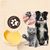 Zoomtopia Baume pour pattes et nez de chiens et chats