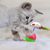 Pawzy Jouets interactifs pour chat