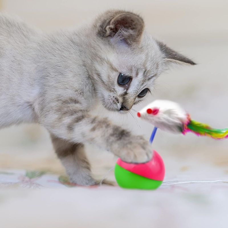 Pawzy Jouets interactifs pour chat