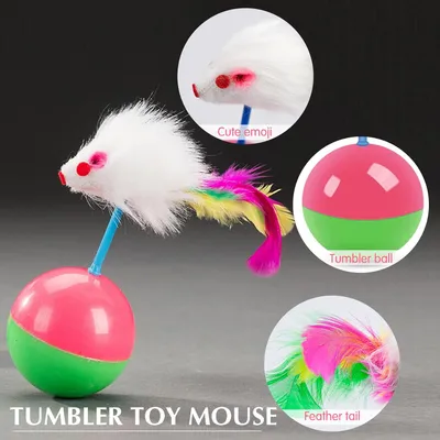 Pawzy Jouets interactifs pour chat