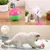Pawzy Jouets interactifs pour chat