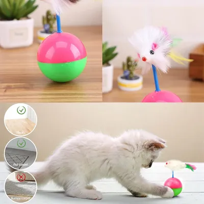 Pawzy Jouets interactifs pour chat
