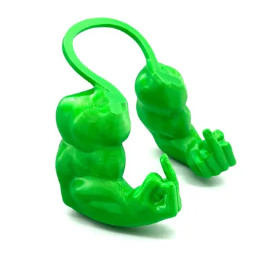 Pawzy Bras musculaires pour chats Vert