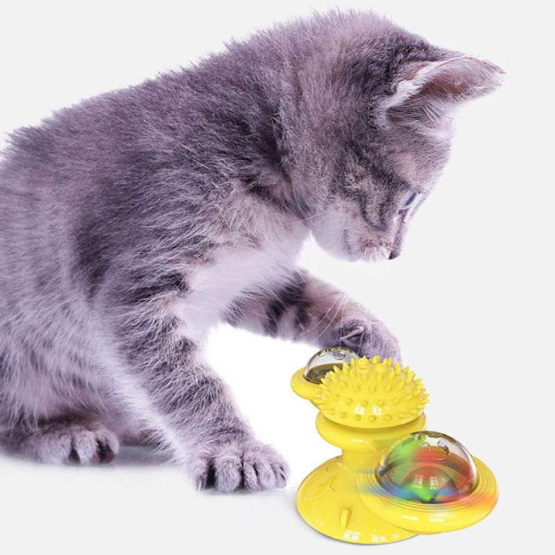 Zoomtopia Jouet interactif pour chat