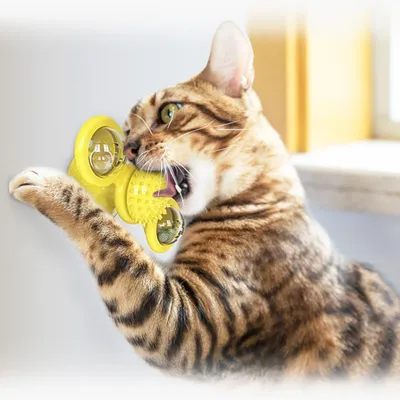 Zoomtopia Jouet interactif pour chat