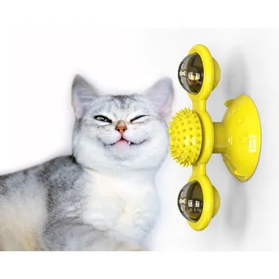 Zoomtopia Jouet interactif pour chat