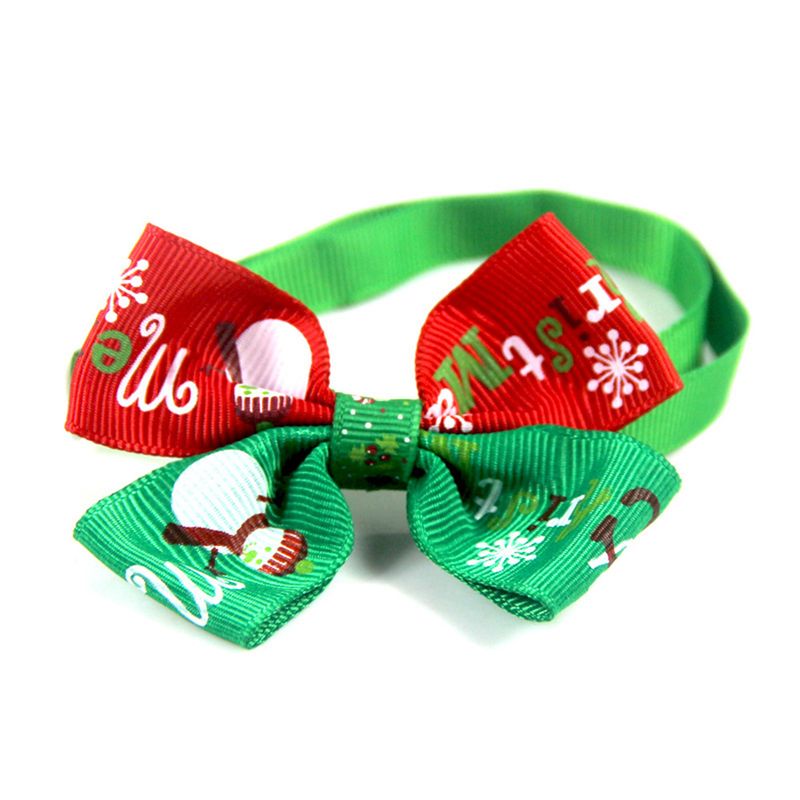 Pawzy Boîte surprise de Noël pour chats