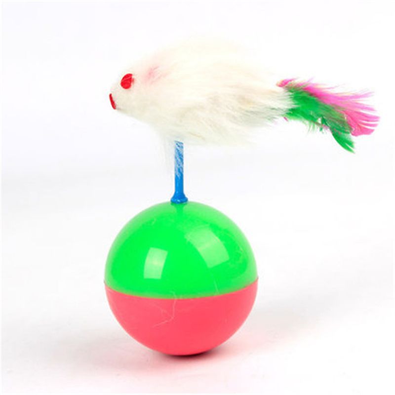 Pawzy Boîte surprise de Noël pour animaux de compagnie