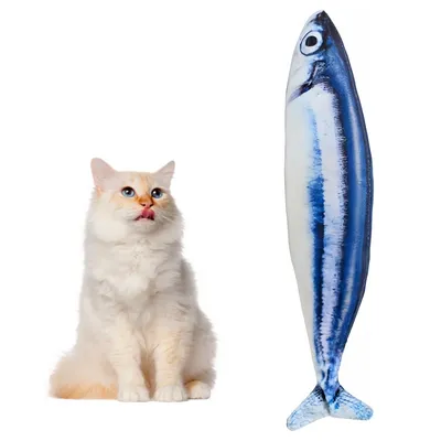 Pawzy Boîte surprise de Noël pour animaux de compagnie