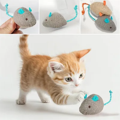 Pawzy Souris en peluche pour chat