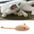 Pawzy Souris en peluche pour chat