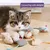 Pawzy Souris en peluche pour chat