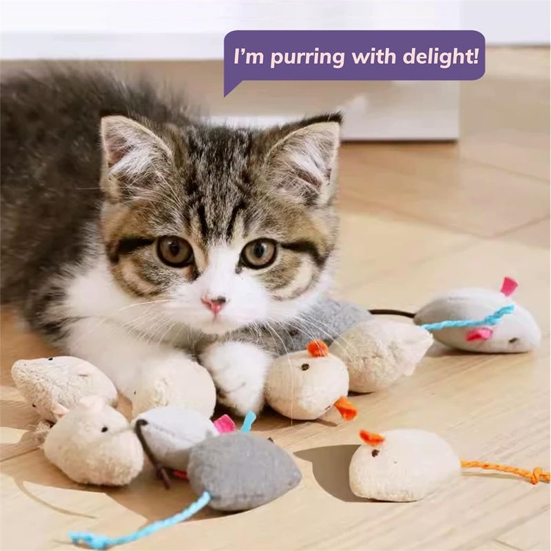 Pawzy Souris en peluche pour chat