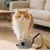 Pawzy Jouet électronique souris pour chat
