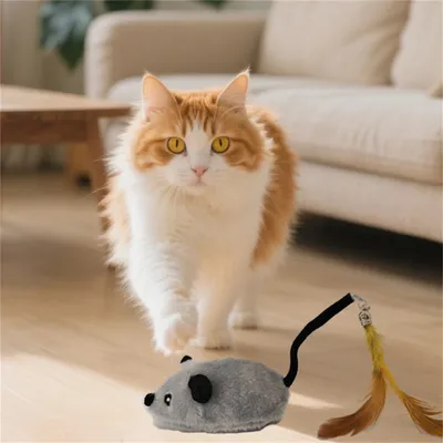 Pawzy Jouet électronique souris pour chat